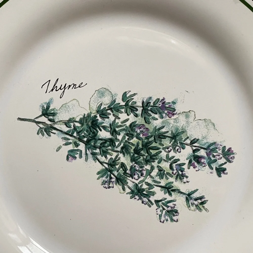 WILLIAMS- SONOMA VINTAGE SALAD PLATE HERBS MADE IN PORTUGAL THYME